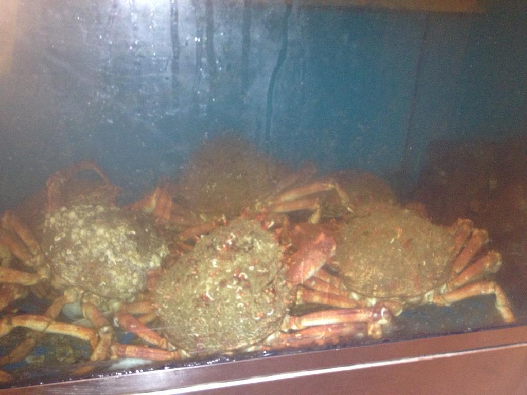 Hosteria San Emeterio Isla Bagian luar foto